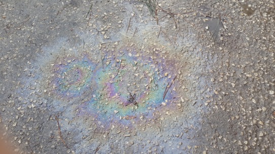 oil puddle